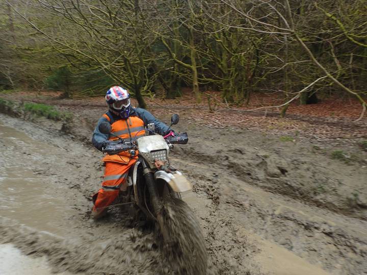 Cover photo of Taffy Dakar