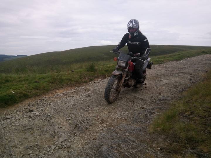 Cover photo of Not the Taffy Dakar