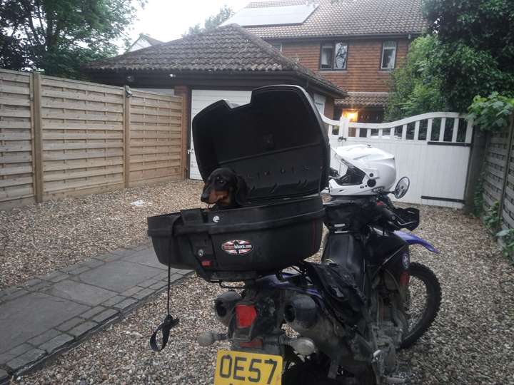 Cover photo of Monty's Gotcha