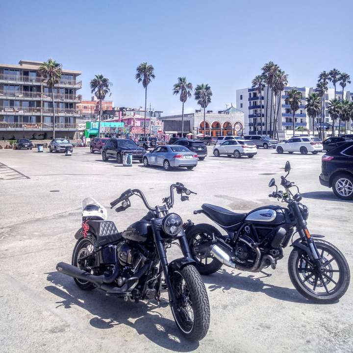 Cover photo of LA