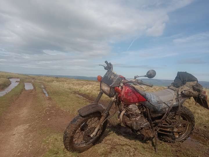 Cover photo of Taffy Dakar