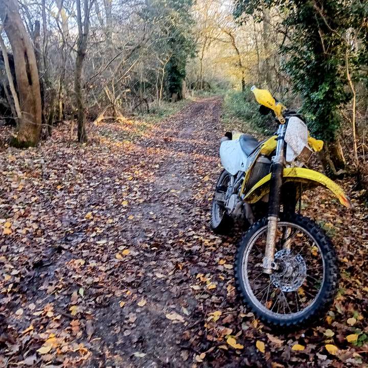 Cover photo of I bought a DRZ