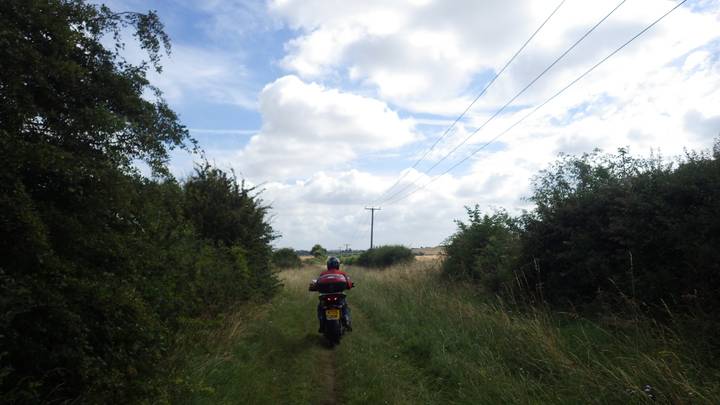 Cover photo of Following Mian's Bent Tracer